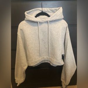 Alo Crop Hoodie